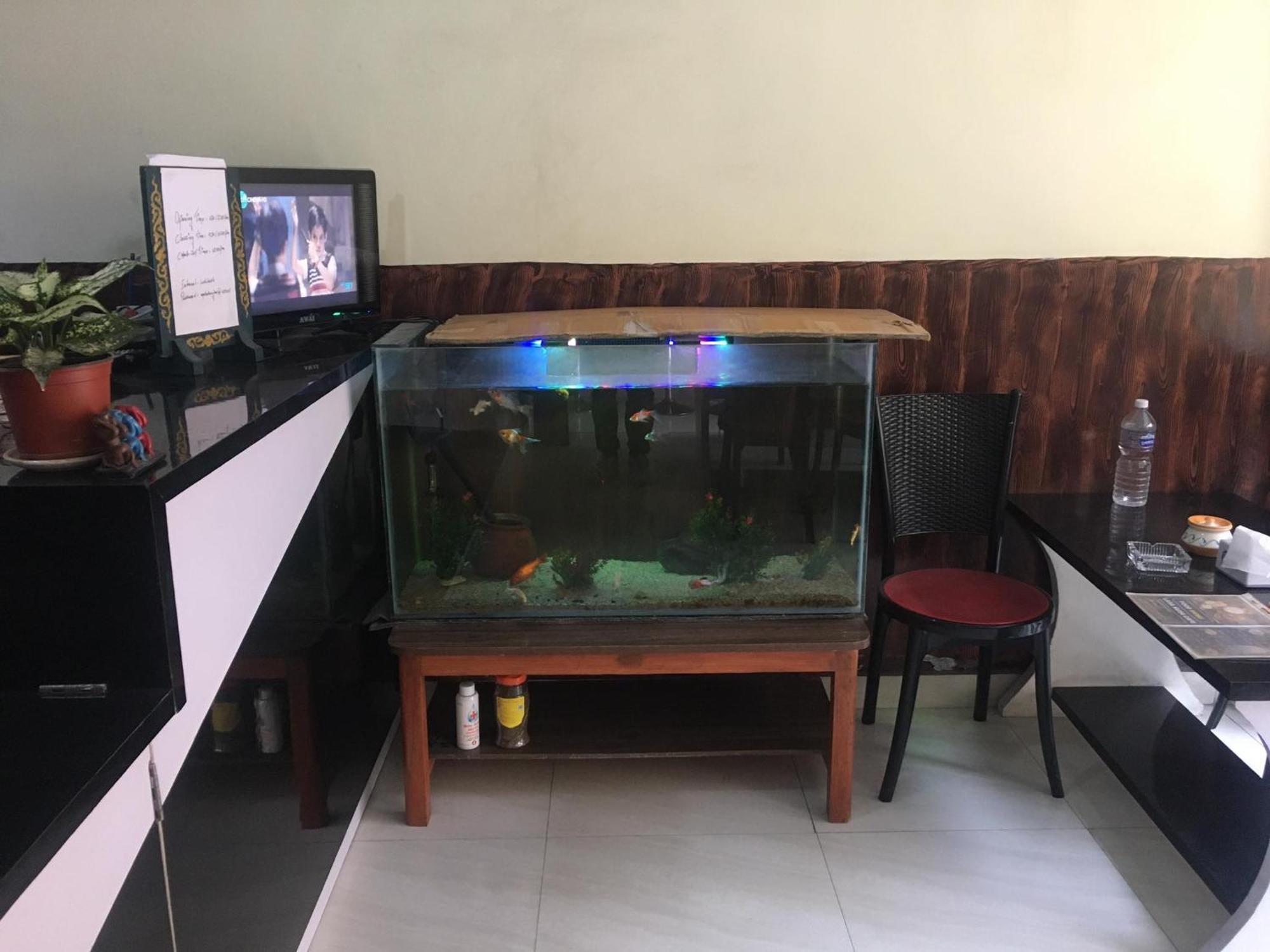 Lasa Kusa Homestay Lalitpur 外观 照片